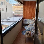 Rovaniemi City Apartment